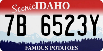 ID license plate 7B6523Y