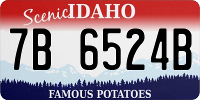 ID license plate 7B6524B