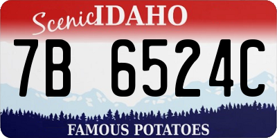 ID license plate 7B6524C