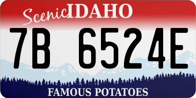 ID license plate 7B6524E