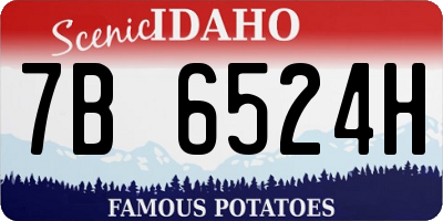 ID license plate 7B6524H