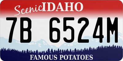 ID license plate 7B6524M