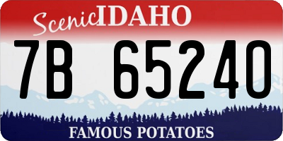 ID license plate 7B6524O