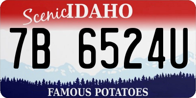 ID license plate 7B6524U