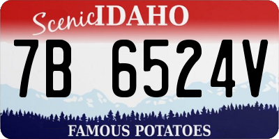 ID license plate 7B6524V