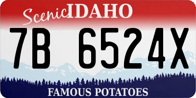 ID license plate 7B6524X