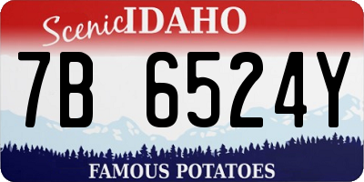 ID license plate 7B6524Y