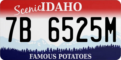 ID license plate 7B6525M