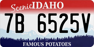 ID license plate 7B6525V