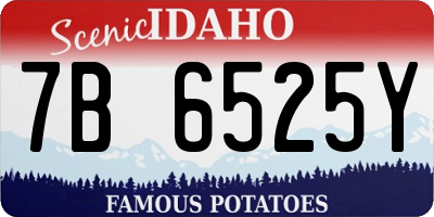 ID license plate 7B6525Y