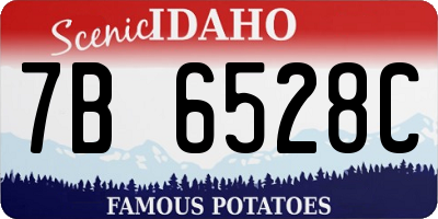 ID license plate 7B6528C