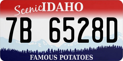 ID license plate 7B6528D