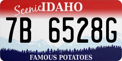 ID license plate 7B6528G