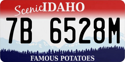 ID license plate 7B6528M