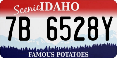 ID license plate 7B6528Y