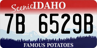 ID license plate 7B6529B