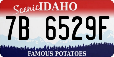 ID license plate 7B6529F