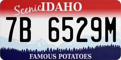 ID license plate 7B6529M