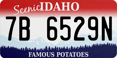 ID license plate 7B6529N