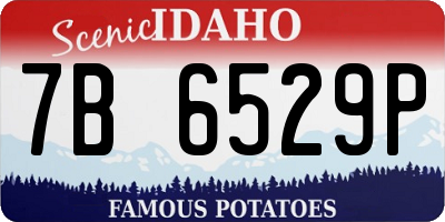 ID license plate 7B6529P