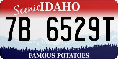 ID license plate 7B6529T