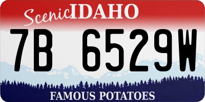 ID license plate 7B6529W