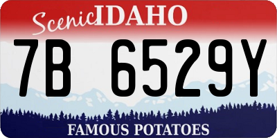 ID license plate 7B6529Y