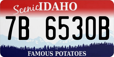 ID license plate 7B6530B