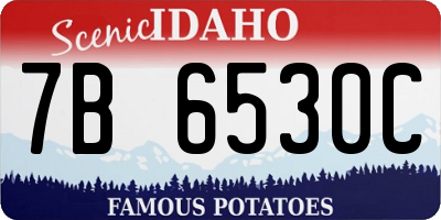 ID license plate 7B6530C