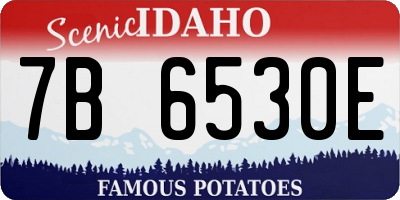 ID license plate 7B6530E