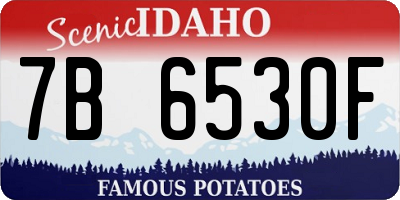 ID license plate 7B6530F