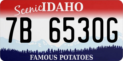 ID license plate 7B6530G