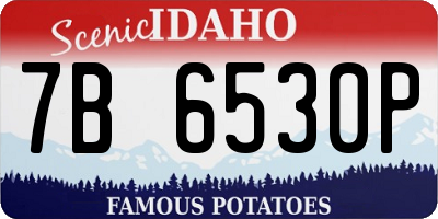 ID license plate 7B6530P