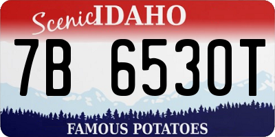 ID license plate 7B6530T
