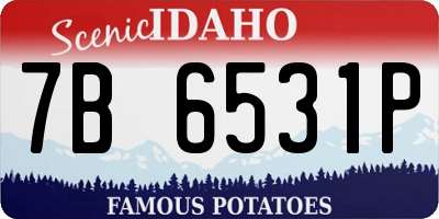 ID license plate 7B6531P