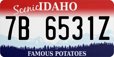 ID license plate 7B6531Z