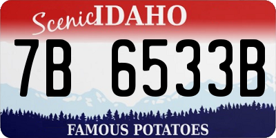 ID license plate 7B6533B