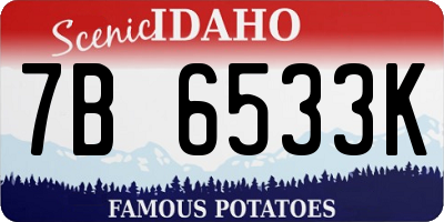 ID license plate 7B6533K