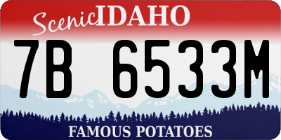 ID license plate 7B6533M