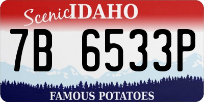 ID license plate 7B6533P