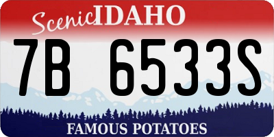 ID license plate 7B6533S