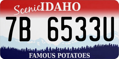 ID license plate 7B6533U