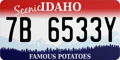 ID license plate 7B6533Y