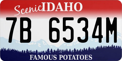 ID license plate 7B6534M