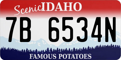 ID license plate 7B6534N