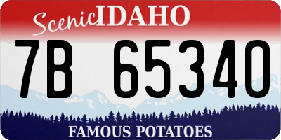 ID license plate 7B6534O