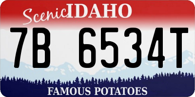 ID license plate 7B6534T