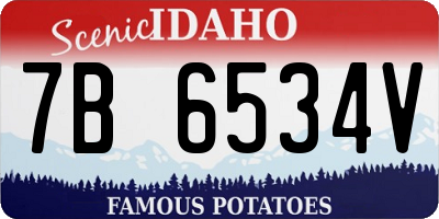 ID license plate 7B6534V