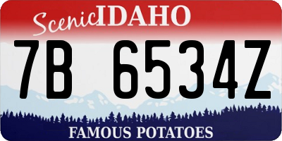 ID license plate 7B6534Z