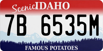 ID license plate 7B6535M